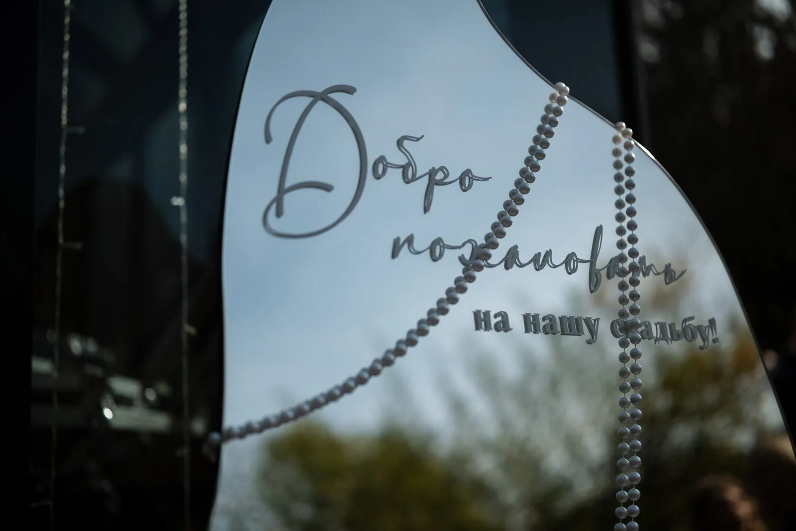 Рассадка, полиграфия 206
